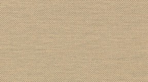 100%纯棉；131g ；(F358384-000022)