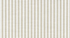 100%纯棉；162g ；(F3412059-000053)