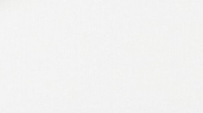 100%纯棉；133g ；(F342657-000001)