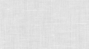 68%棉+32%亚麻；91g ；(F3105560-000001)