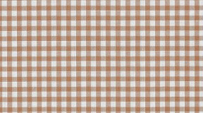 100%纯棉；80g ；(F3105529-000025)